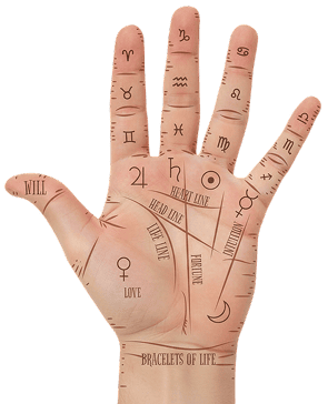 Palm Reading